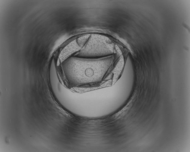 X0000095131365200801041237