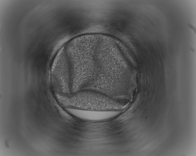 X0000095131366200801041237