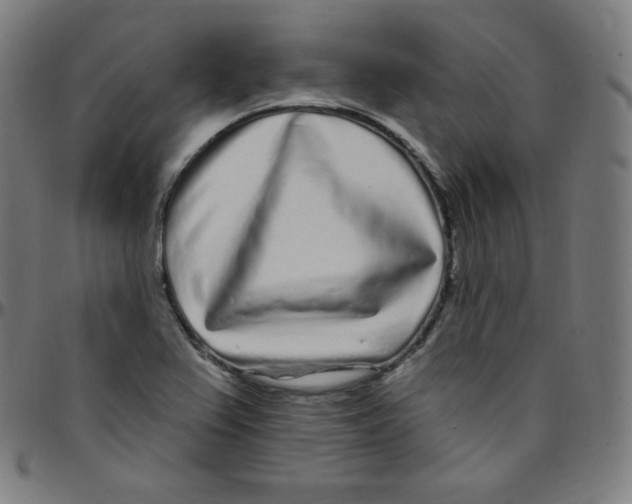 X0000095131367200801041236