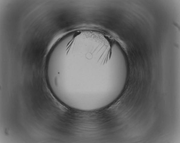 X0000095131368200801041236