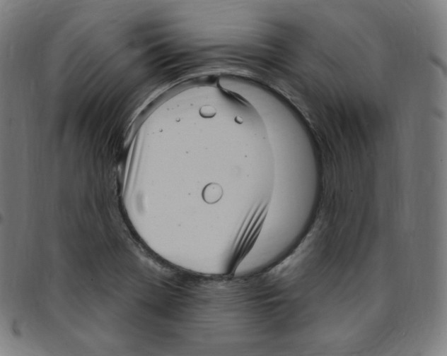 X0000095131369200801041236