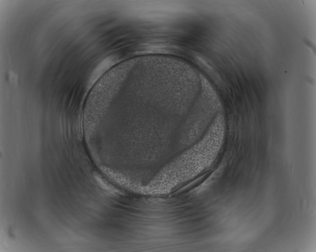 X0000095131370200801041236