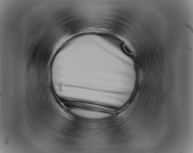 X0000095131371200801041236