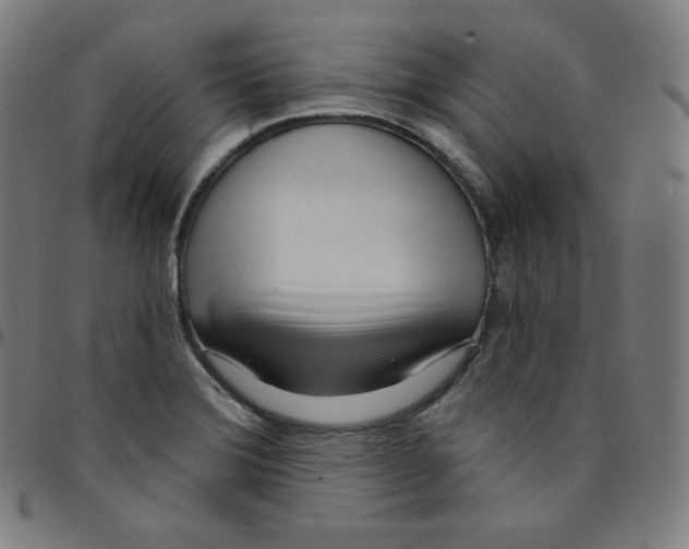 X0000095131372200801041236