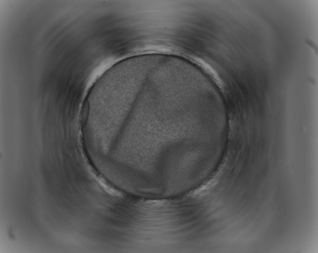 X0000095131373200801041236