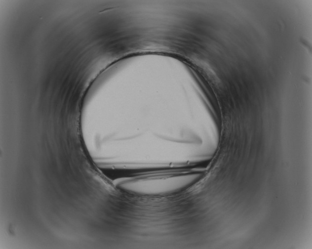 X0000095131374200801041236