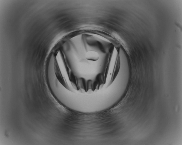 X0000095131376200801041236