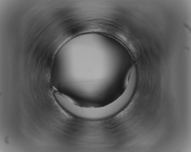 X0000095131377200801041236