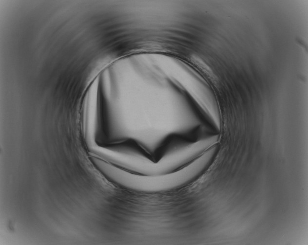 X0000095131378200801041236