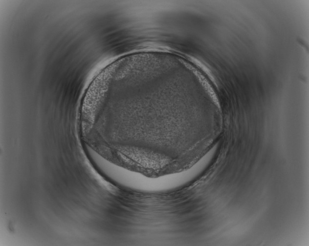 X0000095131379200801041236