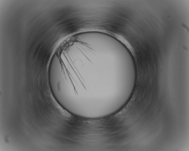 X0000095131380200801041236