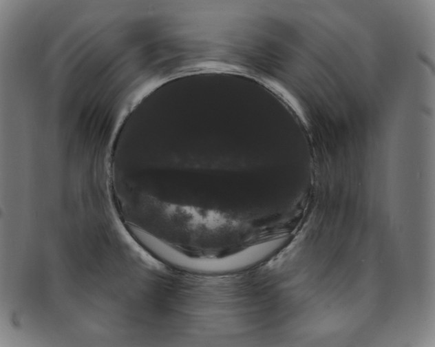 X0000095131381200801041236