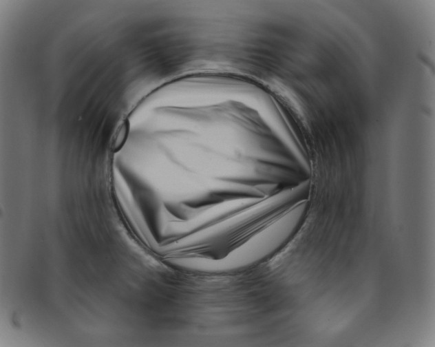 X0000095131382200801041236