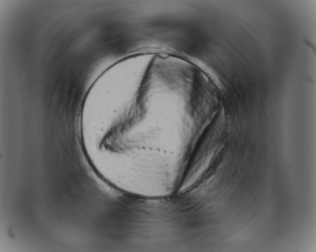 X0000095131383200801041236