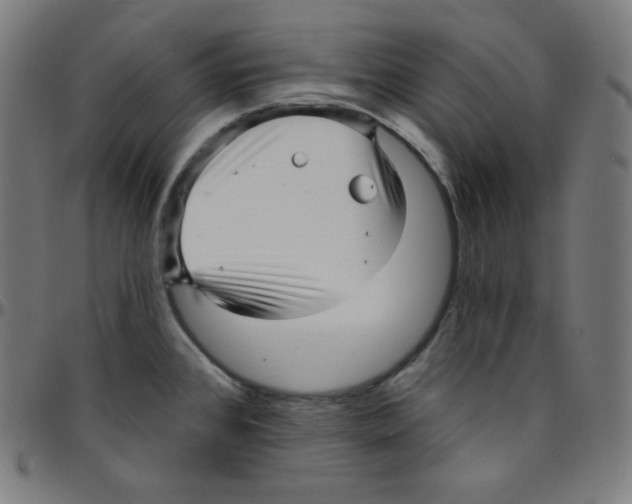 X0000095131384200801041236