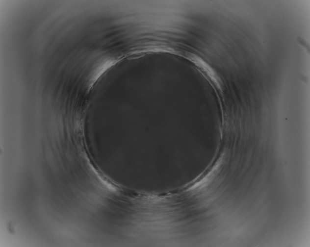 X0000095131385200801041236