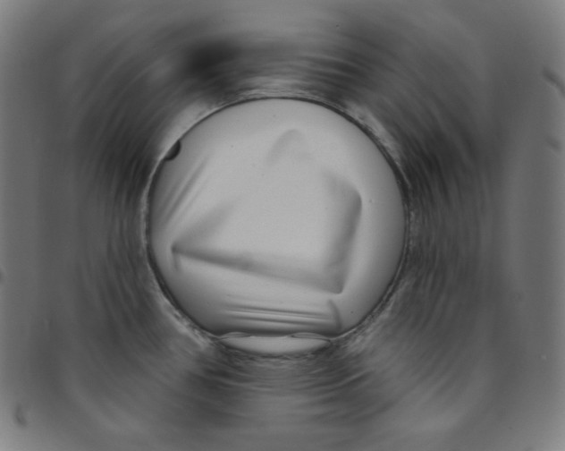 X0000095131386200801041236