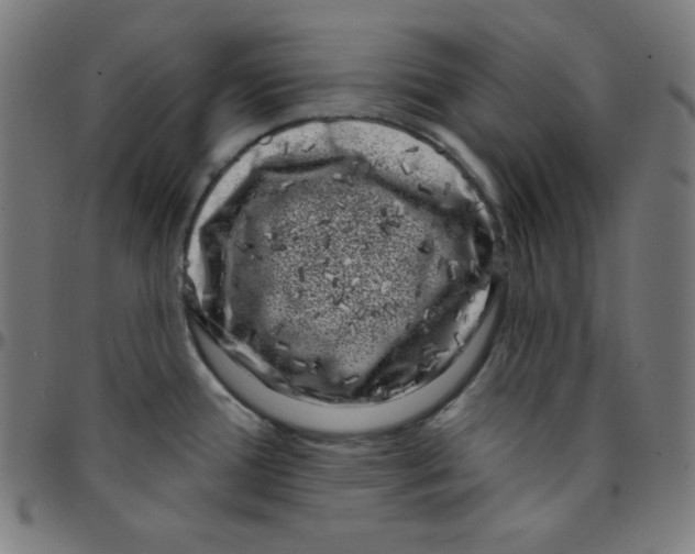 X0000095131388200801041236