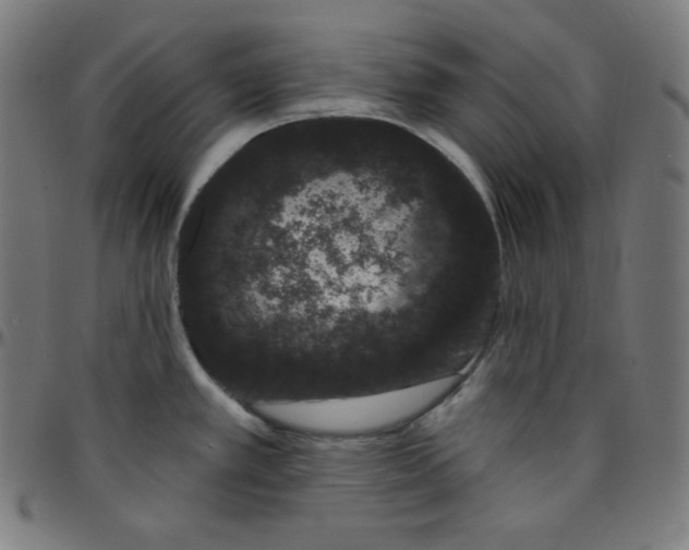 X0000095131389200801041236