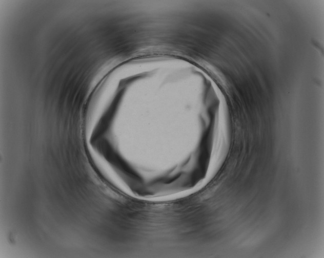 X0000095131390200801041236