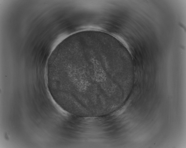 X0000095131391200801041236