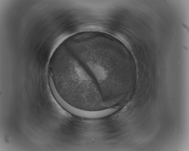 X0000095131392200801041236