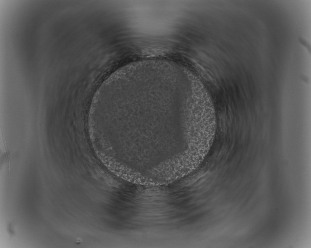 X0000095131393200801041236