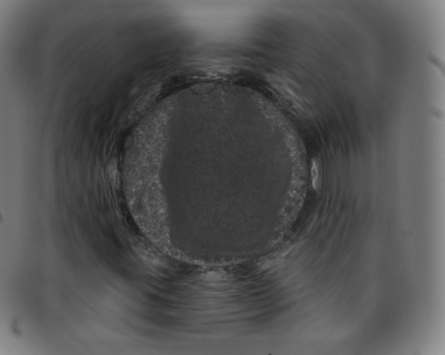 X0000095131395200801041236