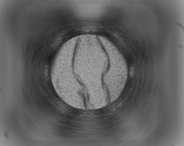 X0000095131396200801041236