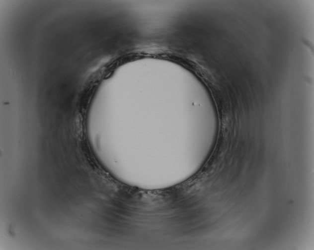 X0000095131398200801041236