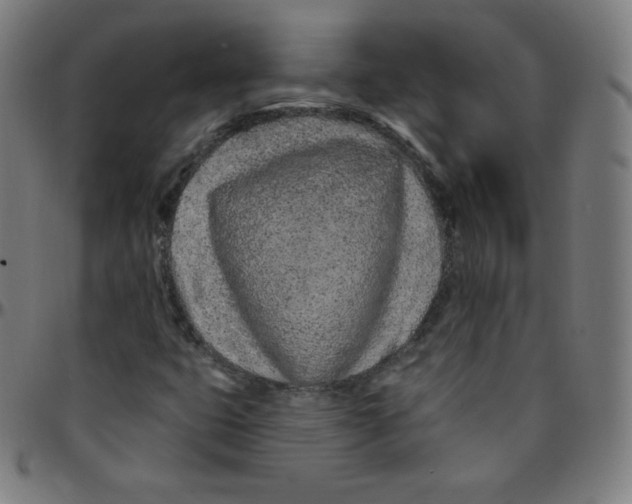 X0000095131399200801041236