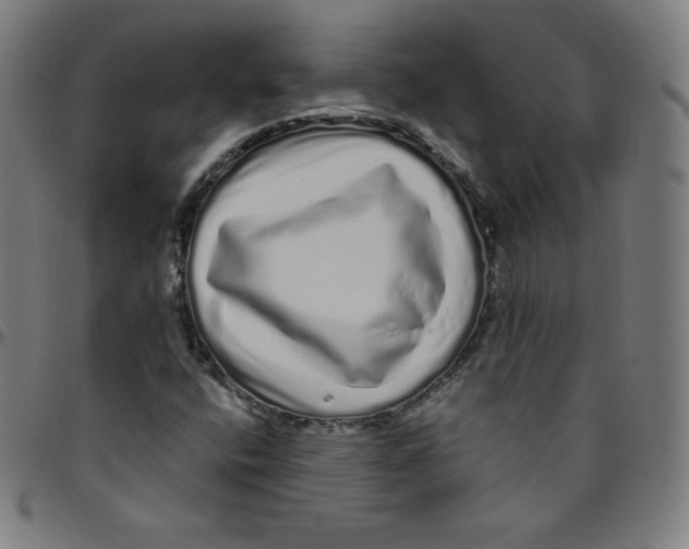 X0000095131400200801041236