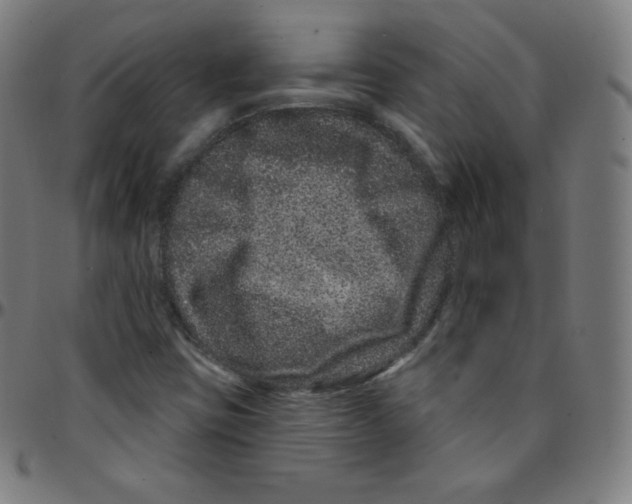 X0000095131403200801041236