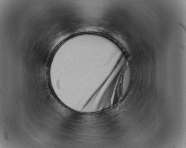 X0000095131404200801041236