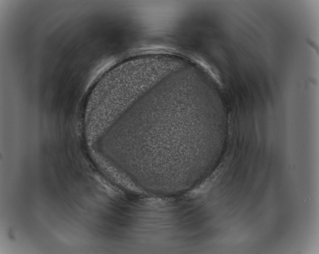 X0000095131405200801041236