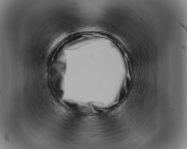 X0000095131406200801041236