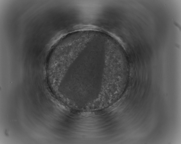 X0000095131407200801041236