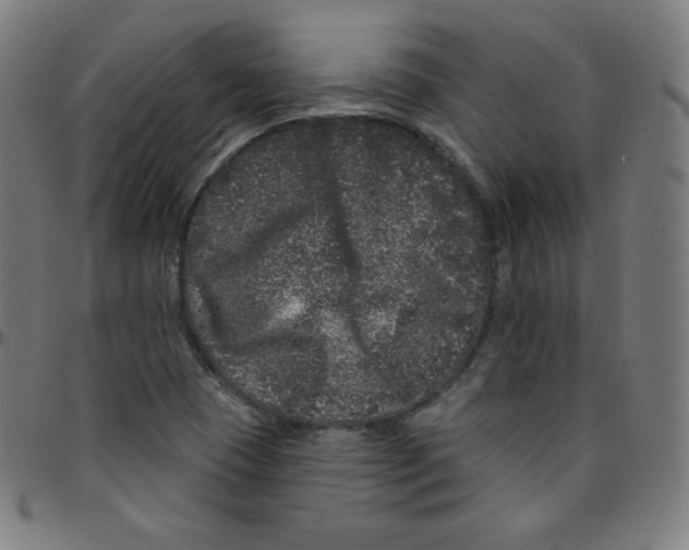 X0000095131409200801041236