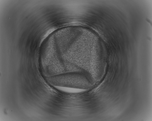 X0000095131410200801041236