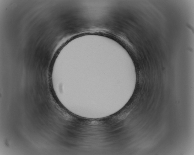 X0000095131412200801041236