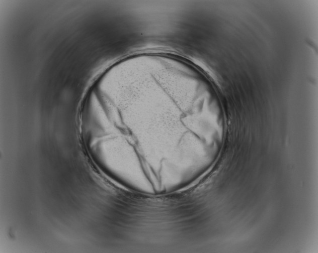 X0000095131413200801041236