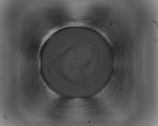 X0000095131414200801041236