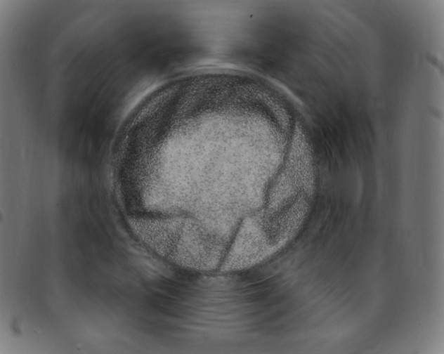 X0000095131415200801041236