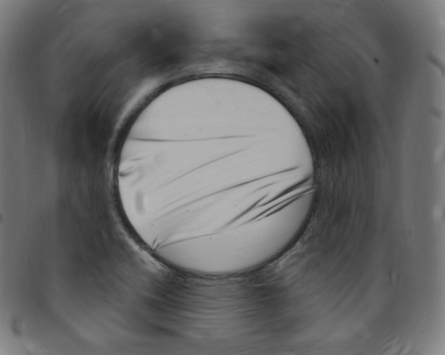 X0000095131416200801041236