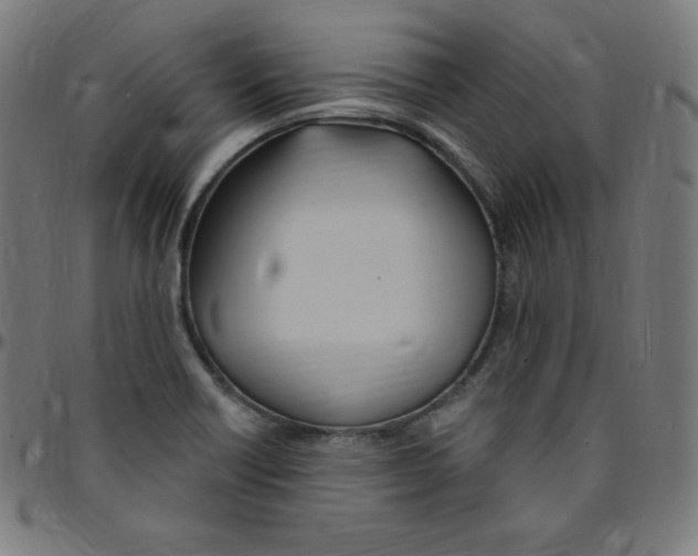 X0000095131418200801041236