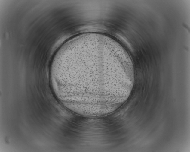 X0000095131419200801041236