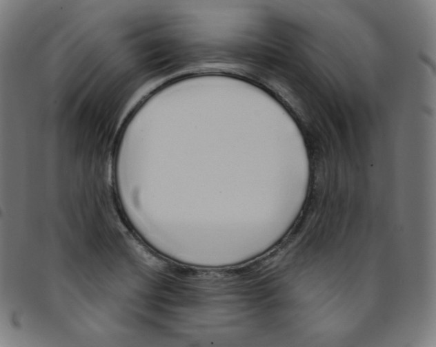 X0000095131420200801041236