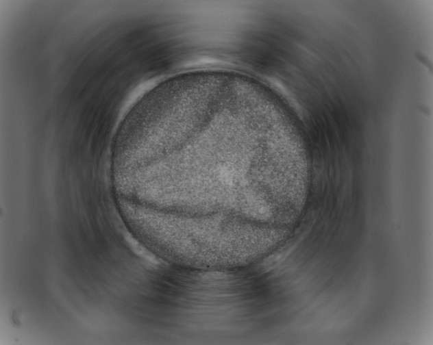 X0000095131421200801041236