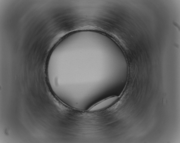 X0000095131422200801041236