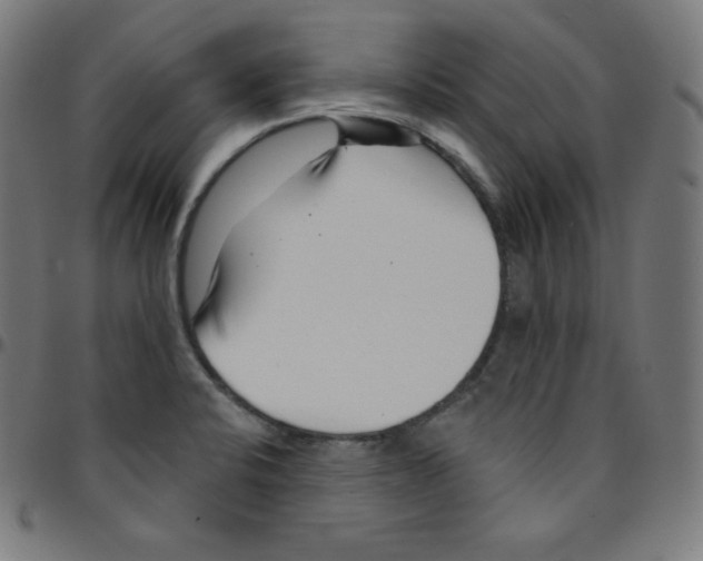 X0000095131424200801041236